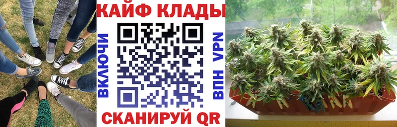 Где купить наркоту Правдинск Кокаин Бошки Шишки A PVP Гашиш MDMA МЕФ
