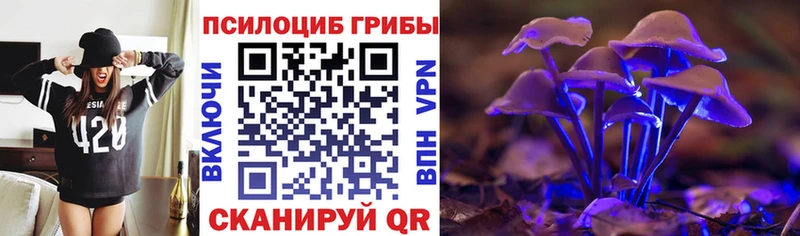 Псилоцибиновые грибы прущие грибы  hydra как войти  Правдинск 